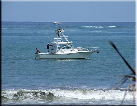 SPORT FISHING SERVICE